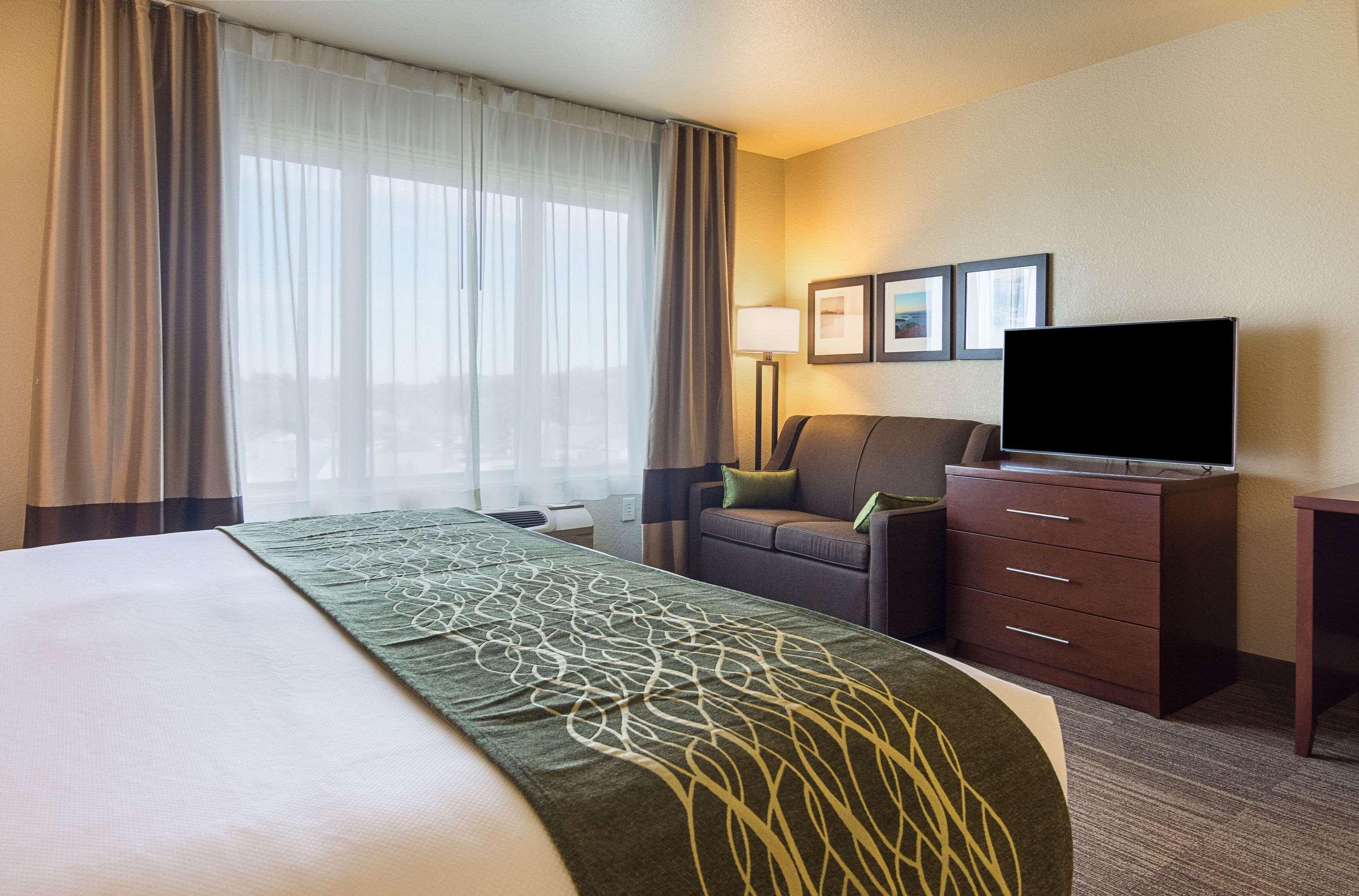 Comfort Inn Bentonville - Crystal Bridges Ngoại thất bức ảnh